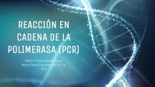 Andrea Victoria Aguilar López
Myrna Yared Castañeda de la Cruz
8°B
REACCIÓN EN
CADENA DE LA
POLIMERASA (PCR)
 