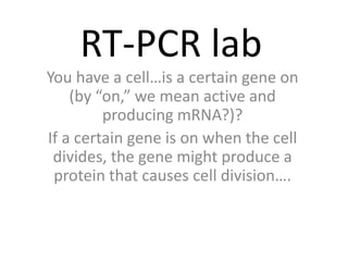 RT-PCR lab
You have a cell…is a certain gene on
(by “on,” we mean active and
producing mRNA?)?
If a certain gene is on when the cell
divides, the gene might produce a
protein that causes cell division….
 