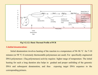 1.Initial denaturation:
Initial denaturation involves heating of the reaction to a temperature of 94–96 °C for 7-10
minutes (or 98 °C if extremely thermostable polymerases are used). For specifically engineered
DNA polymerases (Taq polymerases) activity requires higher range of temperature. The initial
heating for such a long duration also helps in gradual and proper unfolding of the genomic
DNA and subsequent denaturation, and thus exposing target DNA sequence to the
corresponding primers.
105
–fold
amplification of
target DNA
fragment
Heat
Denaturation
Primer
annealing
Synthesis of
complementary
chain
Initial
Denaturation
Step
Step 1 Step 3
Step 2 Begin Step 1
Repeat Step 1-3
for 25-30 cycles
After 30 cycles hold
at 40
C
1 2 3 4 5
Time (min)
22
55
72
T
e
m
p
e
r
a
t
u
r
e
(0
C) 94
Fig 3-2.3.2.1 Basic Thermal Profile of PCR
 