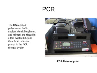 PCR
The DNA, DNA
polymerase, buffer,
nucleoside triphosphates,
and primers are placed in
a thin-walled tube and
then these tubes are
placed in the PCR
thermal cycler
PCR Thermocycler
 