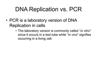 DNA Replication vs. PCR
• PCR is a laboratory version of DNA
Replication in cells
• The laboratory version is commonly called “in vitro”
since it occurs in a test tube while “in vivo” signifies
occurring in a living cell.
 