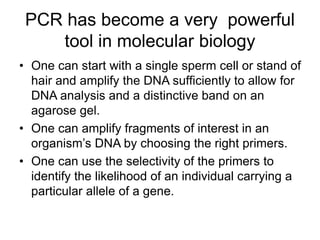 PCR has become a very powerful
tool in molecular biology
• One can start with a single sperm cell or stand of
hair and amplify the DNA sufficiently to allow for
DNA analysis and a distinctive band on an
agarose gel.
• One can amplify fragments of interest in an
organism’s DNA by choosing the right primers.
• One can use the selectivity of the primers to
identify the likelihood of an individual carrying a
particular allele of a gene.
 