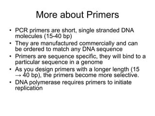More about Primers
• PCR primers are short, single stranded DNA
molecules (15-40 bp)
• They are manufactured commercially and can
be ordered to match any DNA sequence
• Primers are sequence specific, they will bind to a
particular sequence in a genome
• As you design primers with a longer length (15
→ 40 bp), the primers become more selective.
• DNA polymerase requires primers to initiate
replication
 