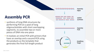 pcr.pptx
