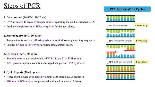 PCR(Polymerase chain reaction) and its types | PPTX