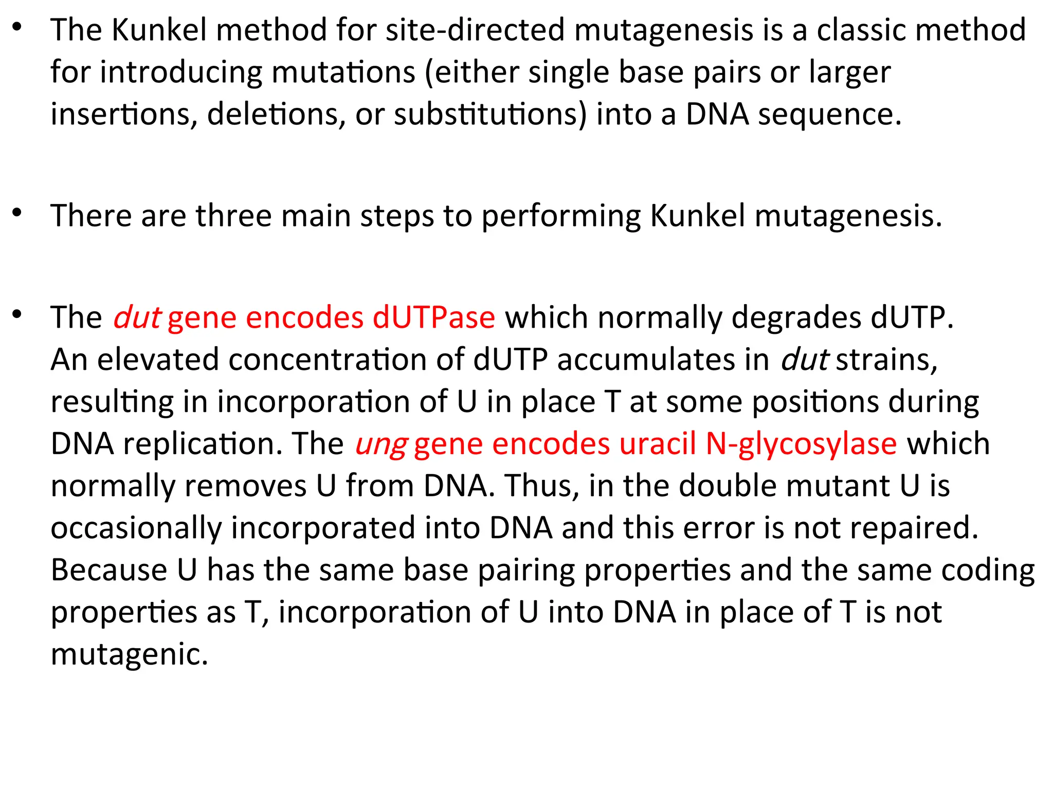 • The Kunkel method for site-directed mutagenesis is a classic method
for introducing mutations (either single base pairs or larger
insertions, deletions, or substitutions) into a DNA sequence.
• There are three main steps to performing Kunkel mutagenesis.
• The dut gene encodes dUTPase which normally degrades dUTP.
An elevated concentration of dUTP accumulates in dut strains,
resulting in incorporation of U in place T at some positions during
DNA replication. The ung gene encodes uracil N-glycosylase which
normally removes U from DNA. Thus, in the double mutant U is
occasionally incorporated into DNA and this error is not repaired.
Because U has the same base pairing properties and the same coding
properties as T, incorporation of U into DNA in place of T is not
mutagenic.
 