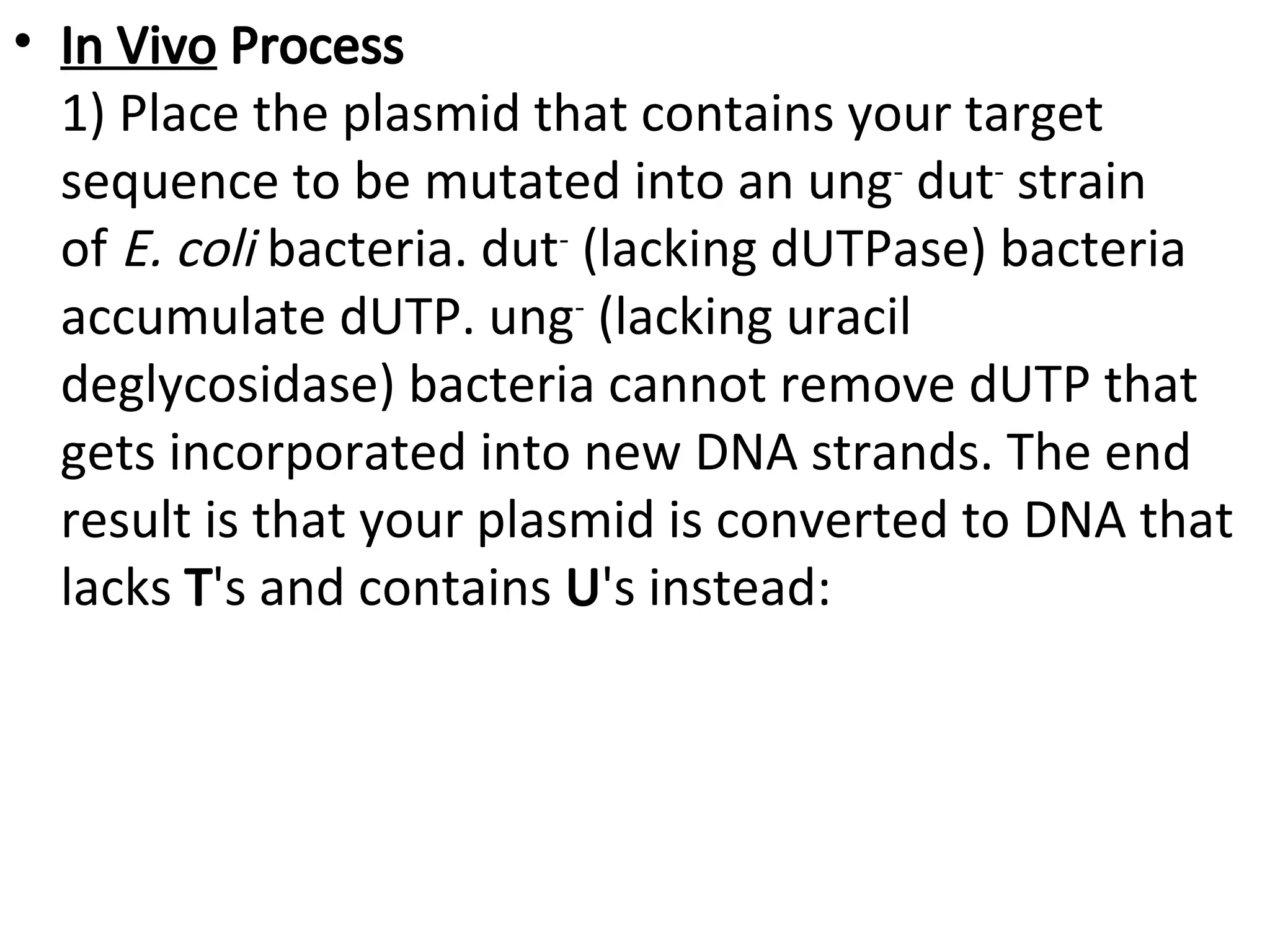 • In Vivo Process
1) Place the plasmid that contains your target
sequence to be mutated into an ung-
dut-
strain
of E. coli bacteria. dut-
(lacking dUTPase) bacteria
accumulate dUTP. ung-
(lacking uracil
deglycosidase) bacteria cannot remove dUTP that
gets incorporated into new DNA strands. The end
result is that your plasmid is converted to DNA that
lacks T's and contains U's instead:
 