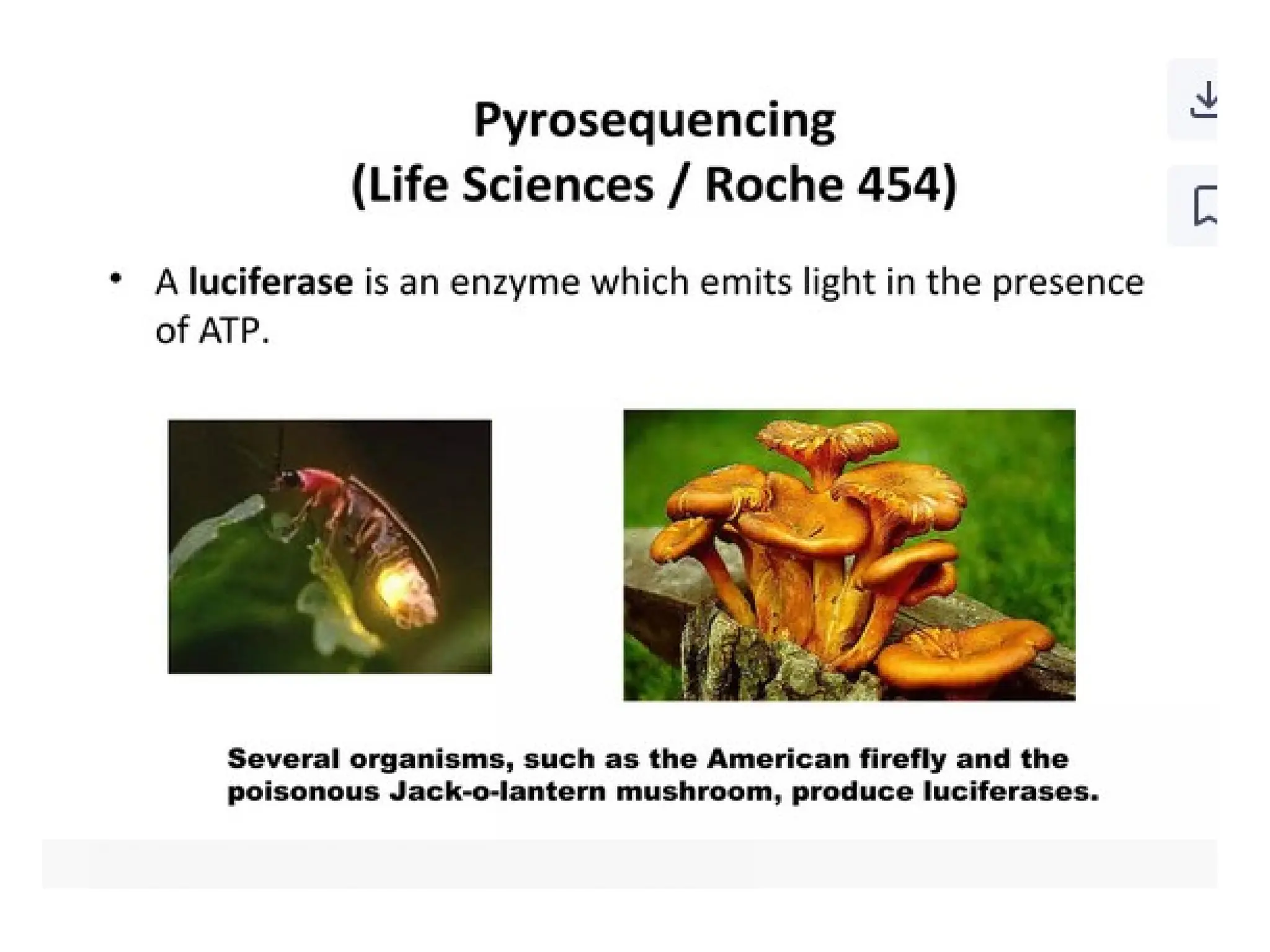 polymerase chain reaction and so on .ppt