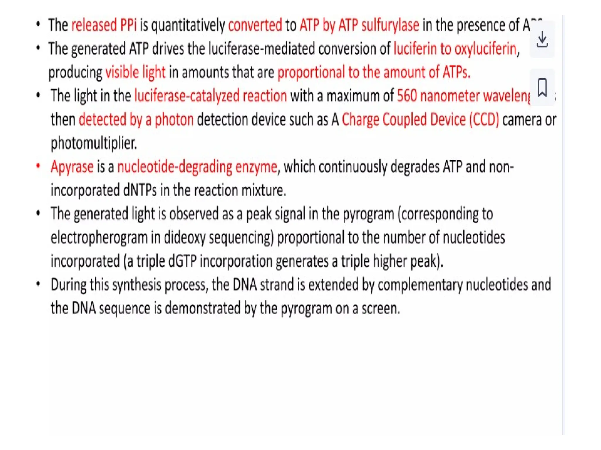 polymerase chain reaction and so on .ppt