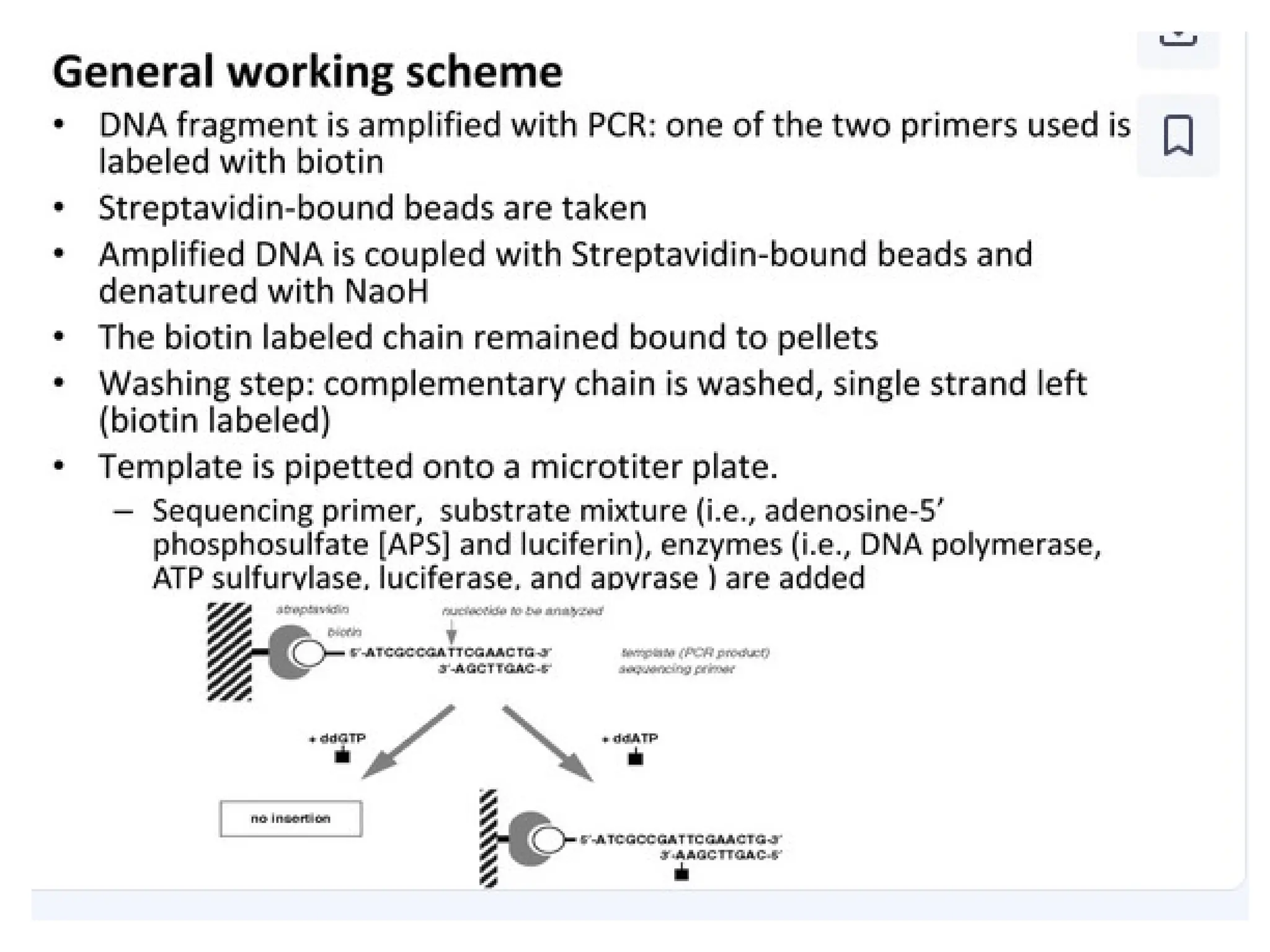 polymerase chain reaction and so on .ppt