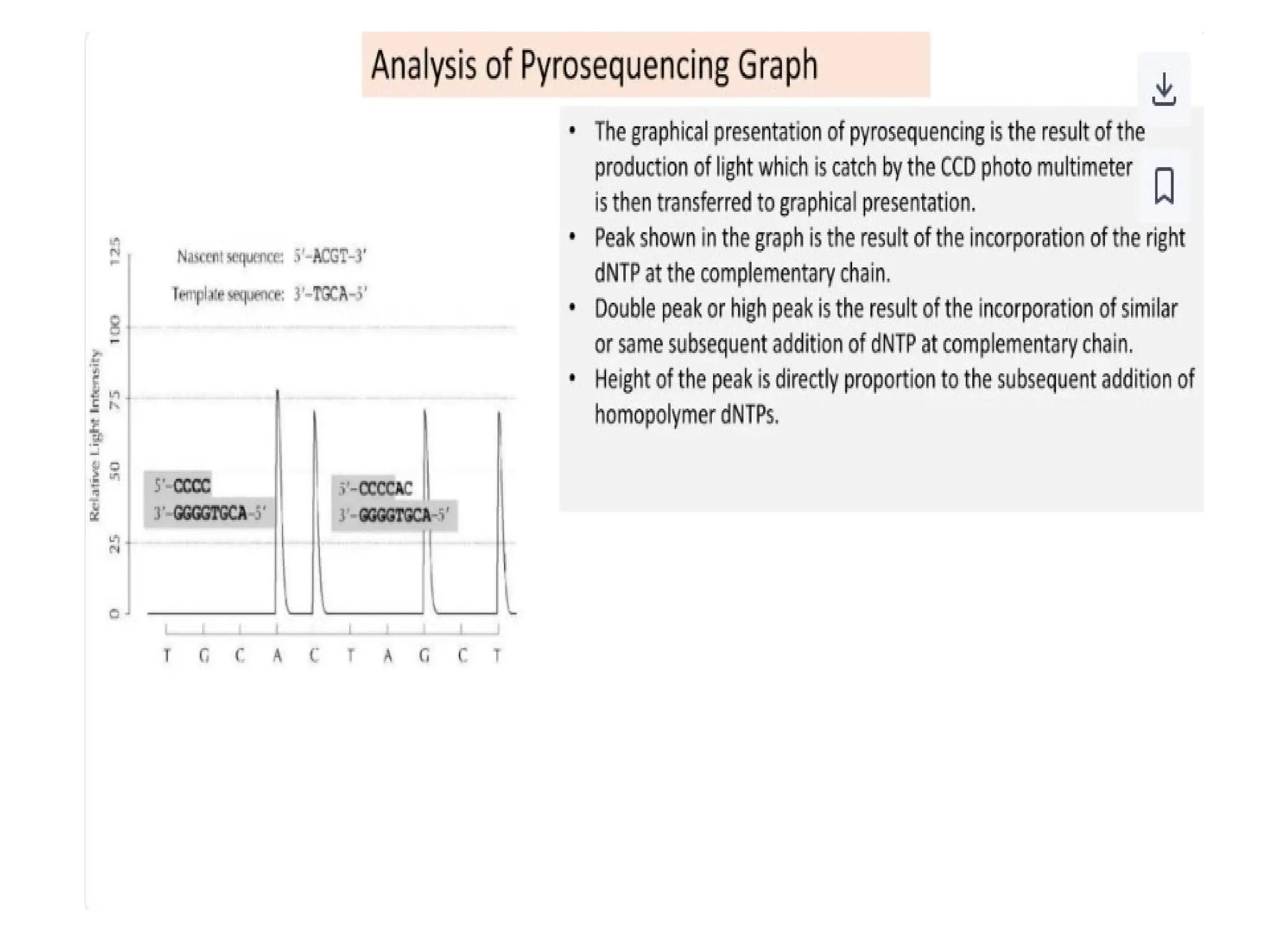 polymerase chain reaction and so on .ppt