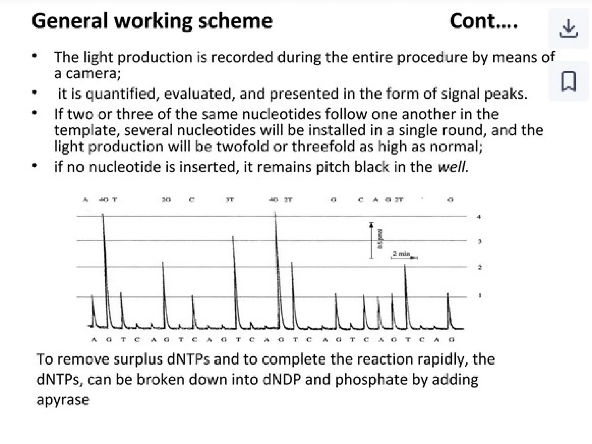 polymerase chain reaction and so on .ppt