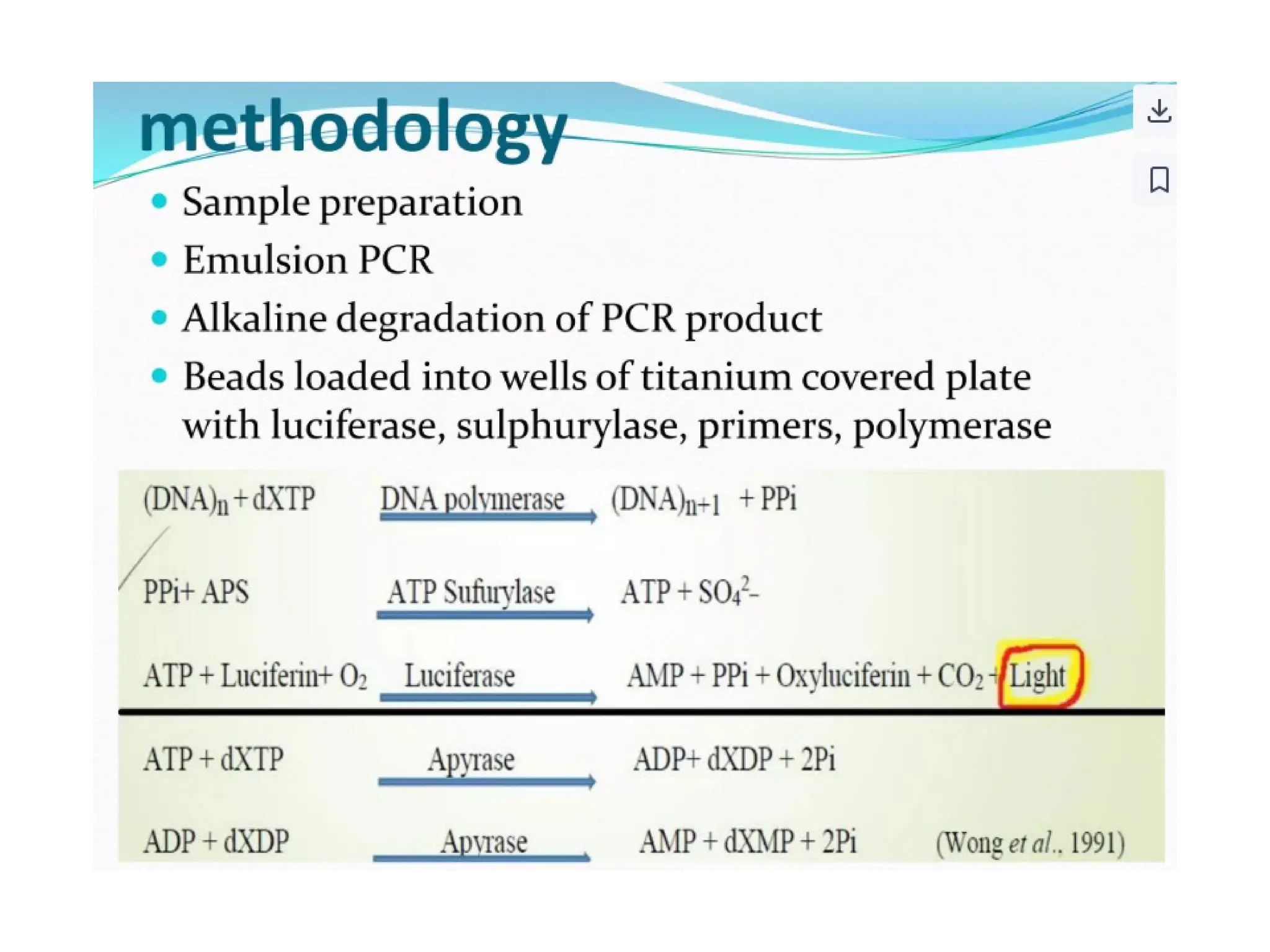 polymerase chain reaction and so on .ppt