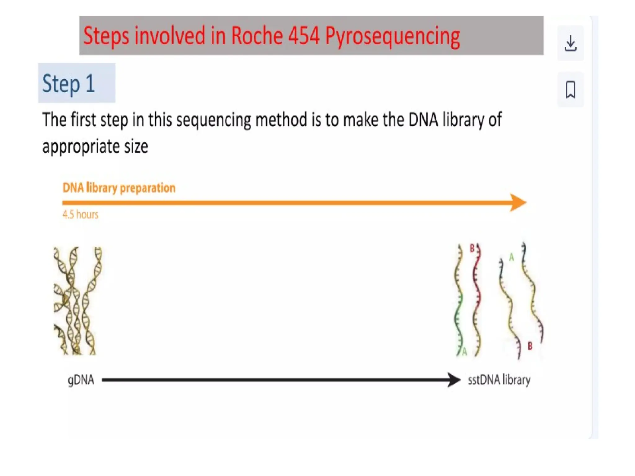 polymerase chain reaction and so on .ppt