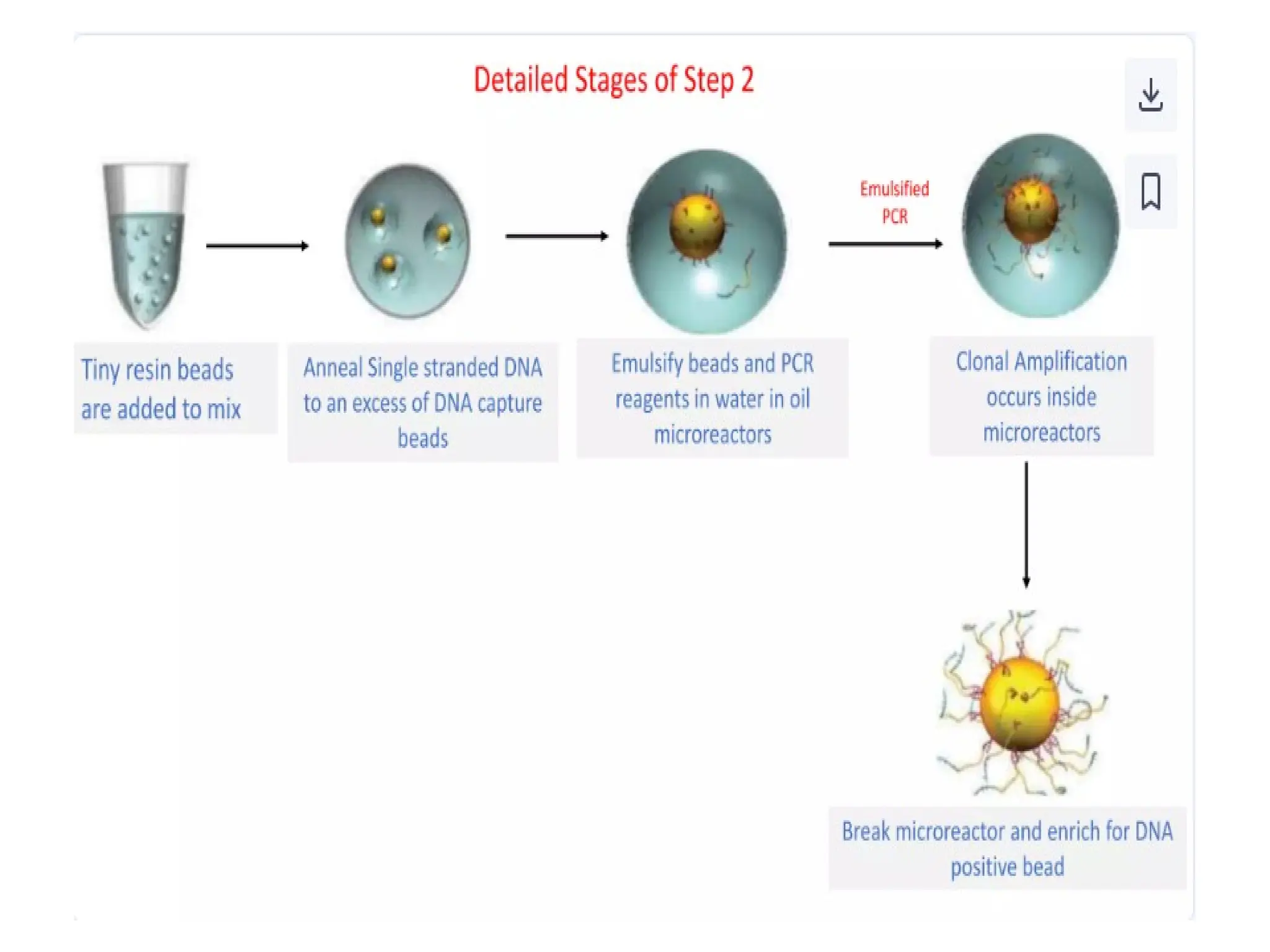 polymerase chain reaction and so on .ppt