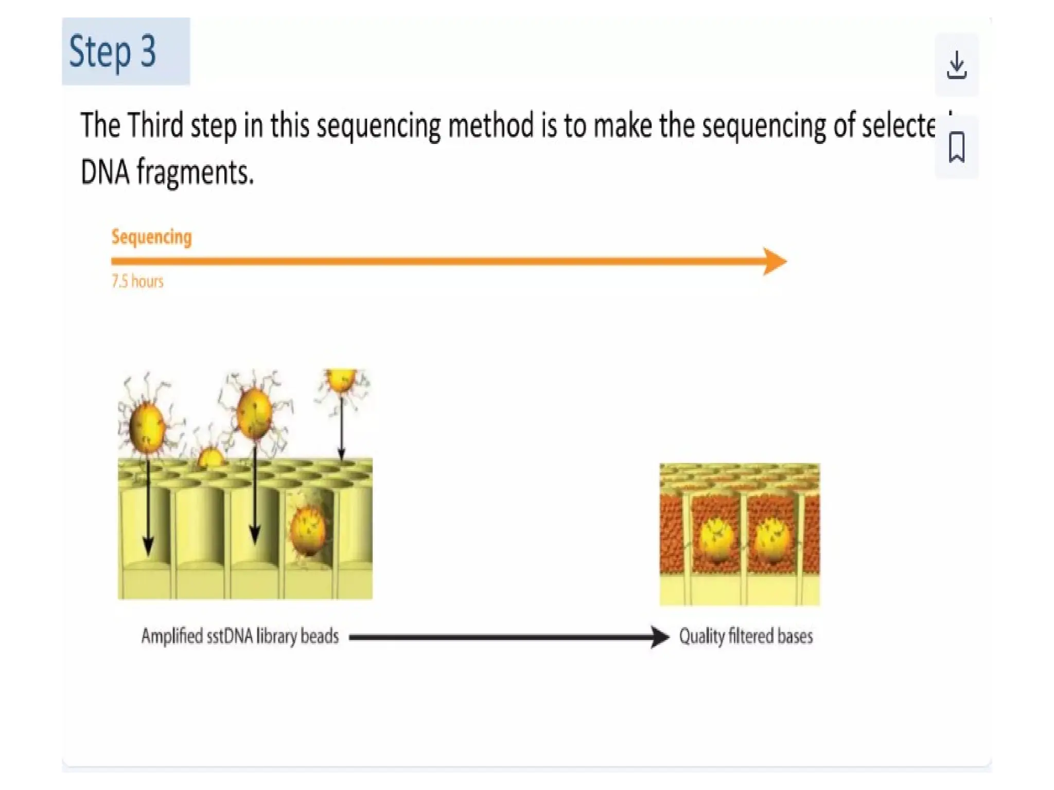 polymerase chain reaction and so on .ppt