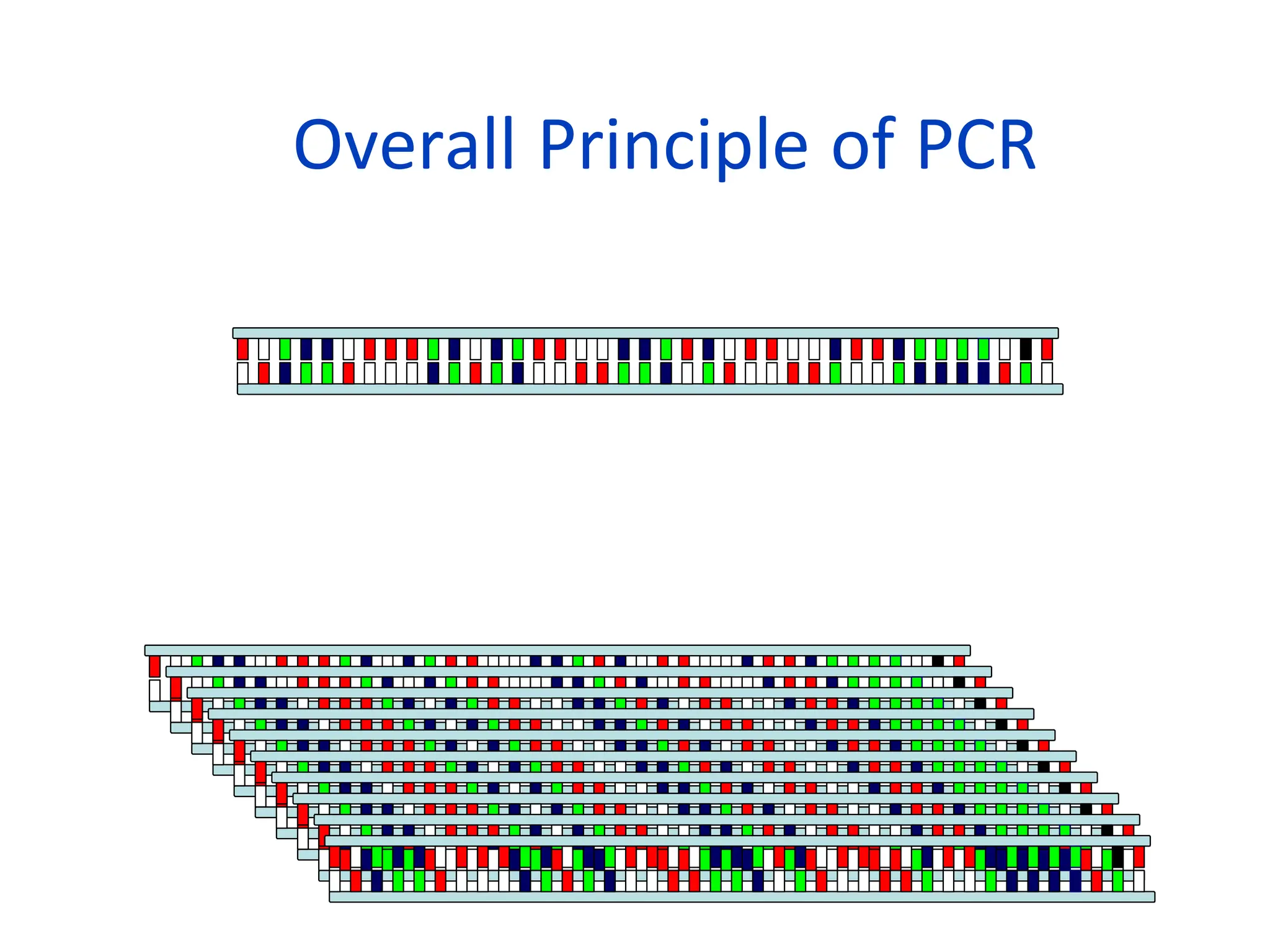 Overall Principle of PCR
• DNA – 1
copy
• Known sequence Sequence of interest Known sequence
• PCR
 