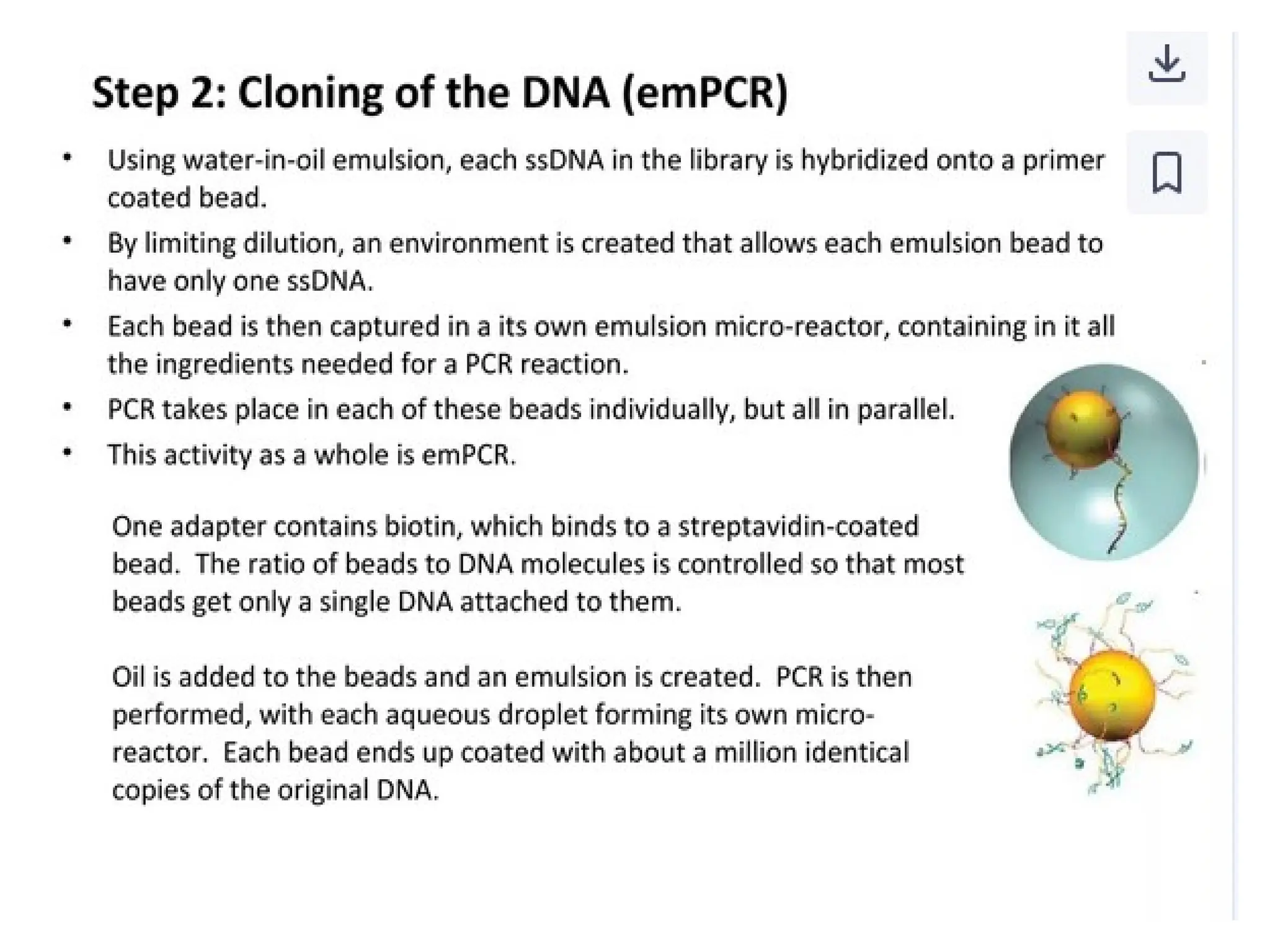 polymerase chain reaction and so on .ppt