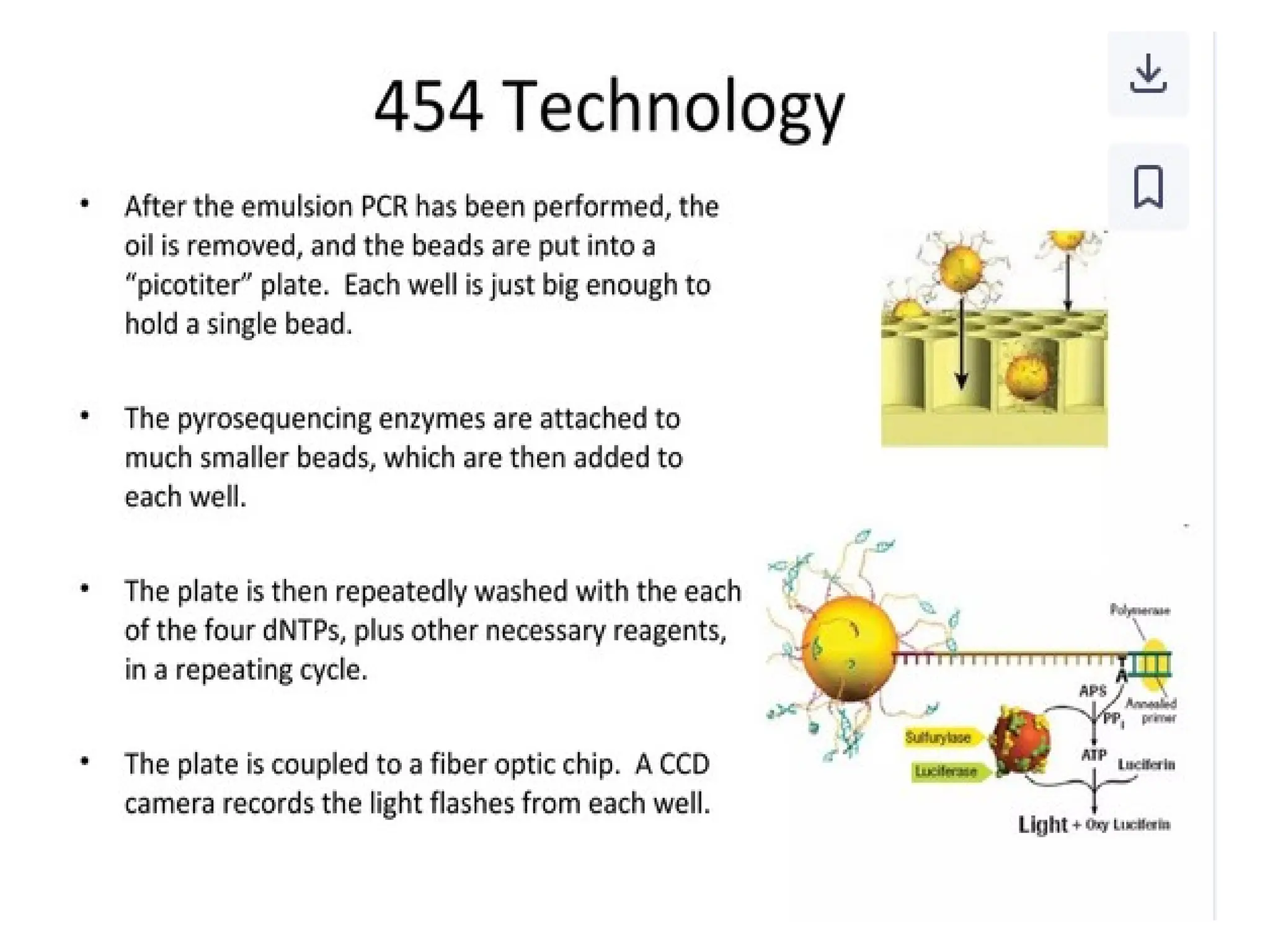 polymerase chain reaction and so on .ppt