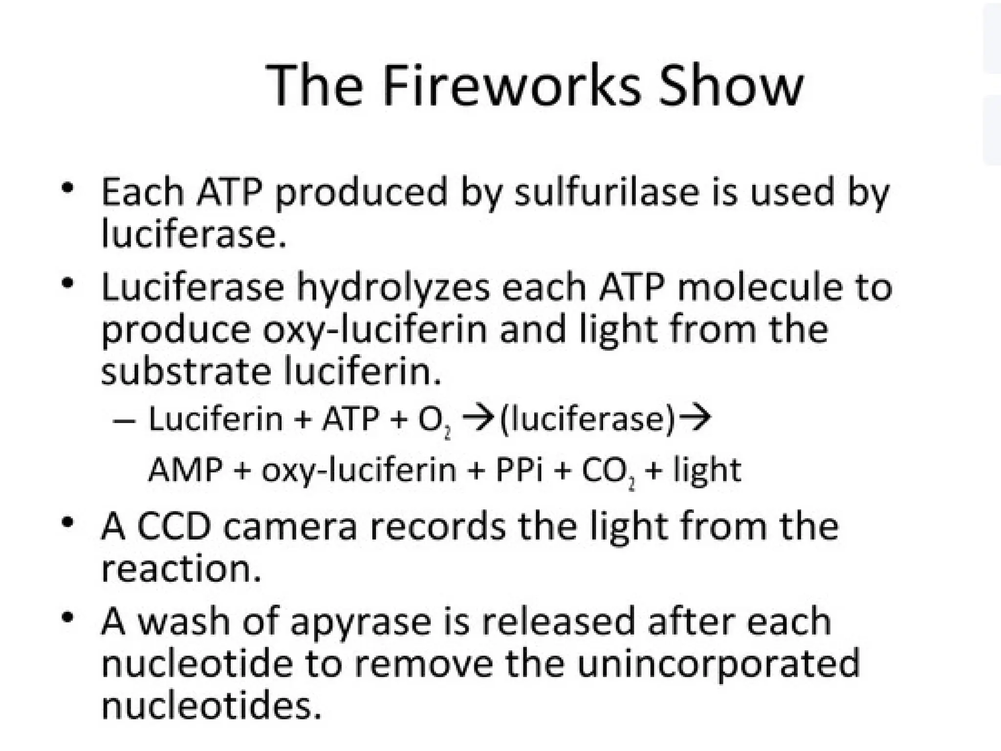 polymerase chain reaction and so on .ppt