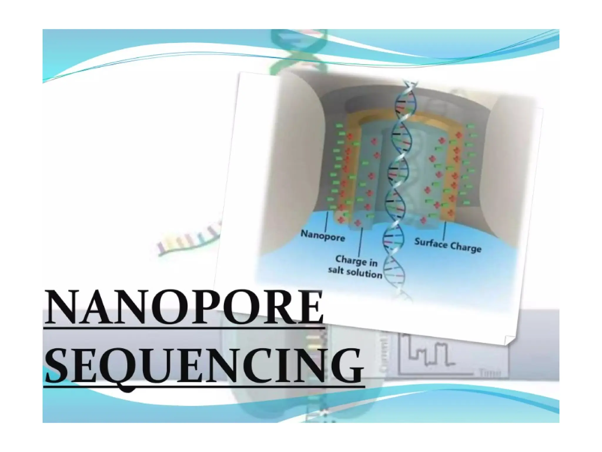 polymerase chain reaction and so on .ppt