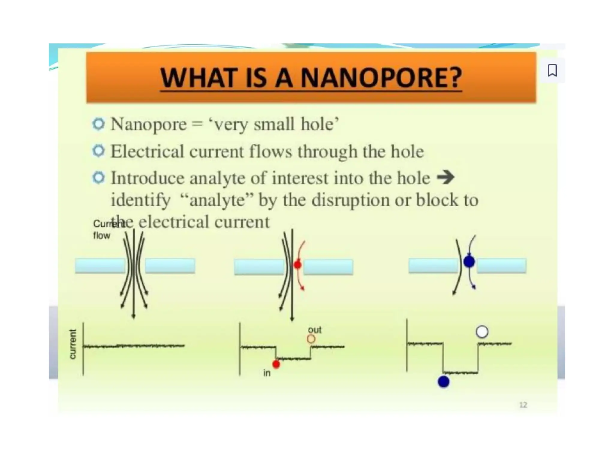 polymerase chain reaction and so on .ppt