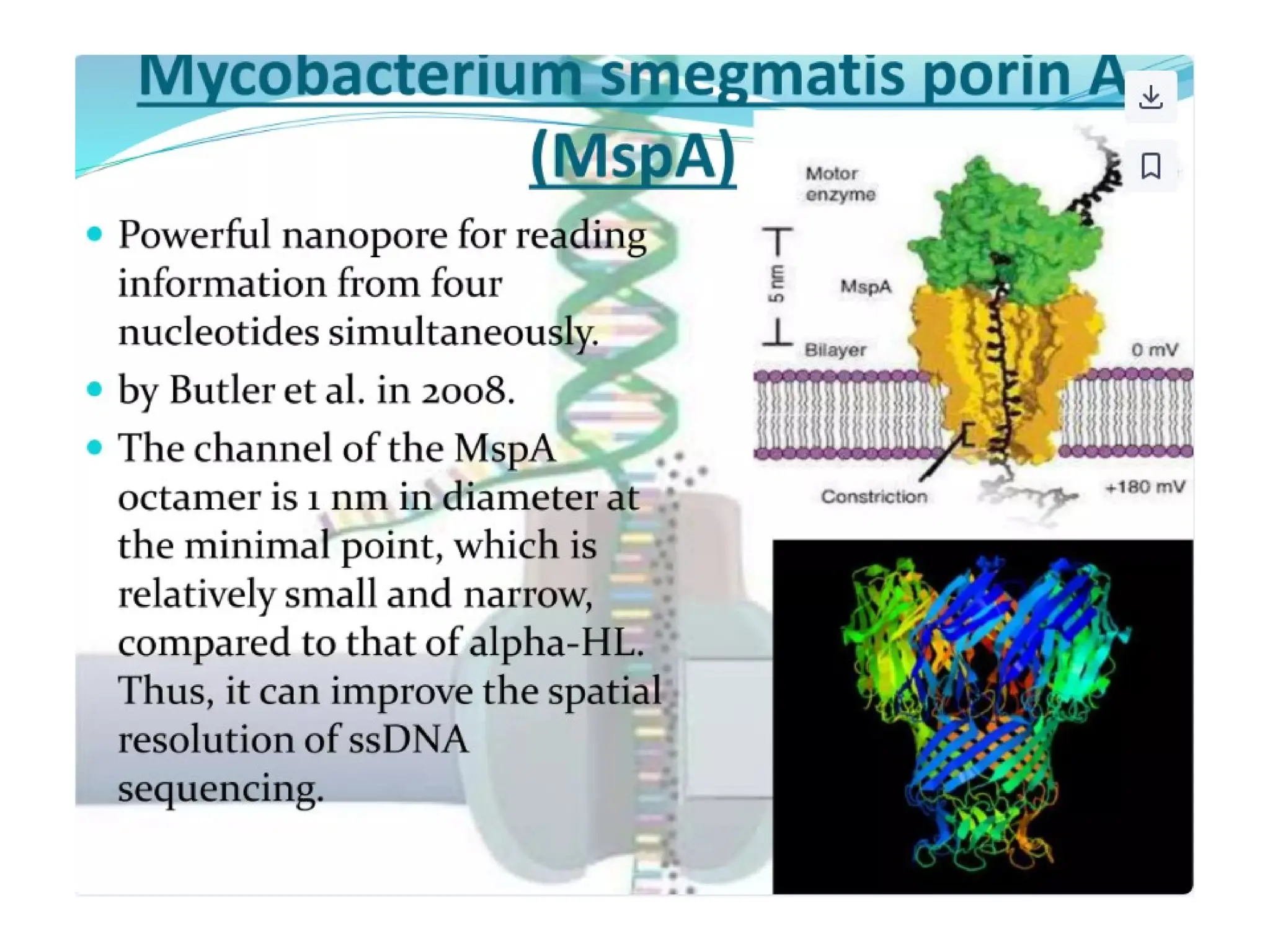polymerase chain reaction and so on .ppt