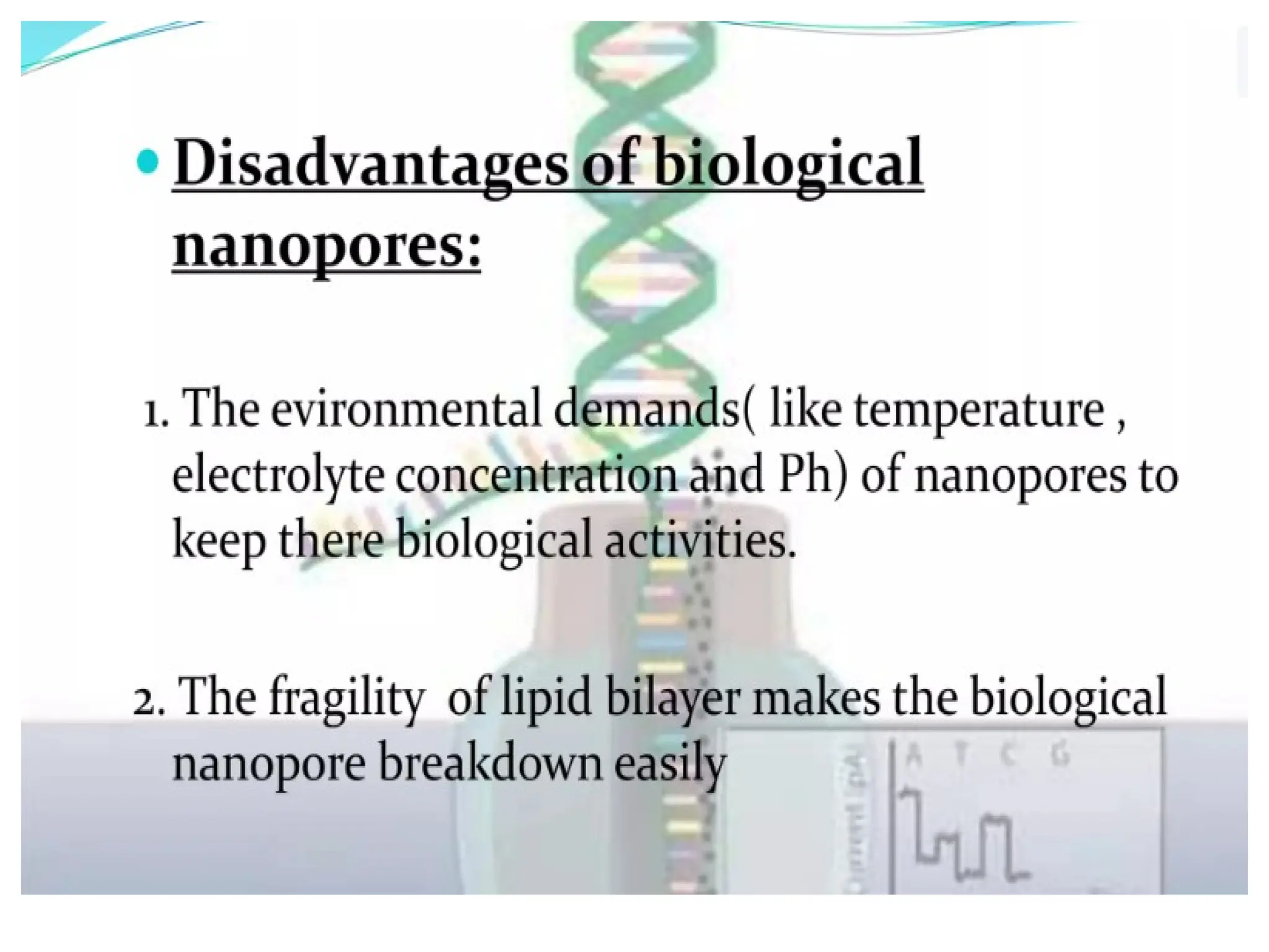 polymerase chain reaction and so on .ppt