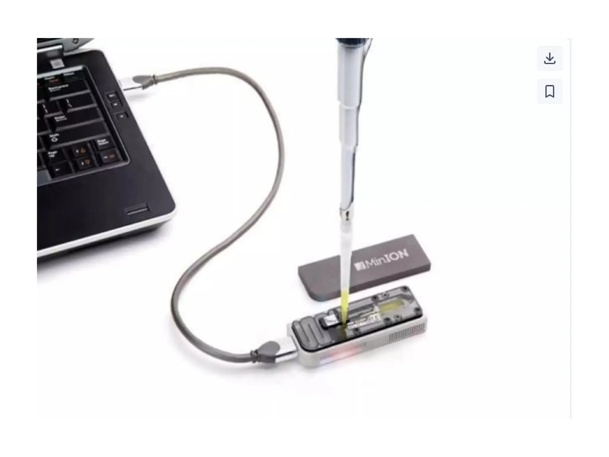 polymerase chain reaction and so on .ppt