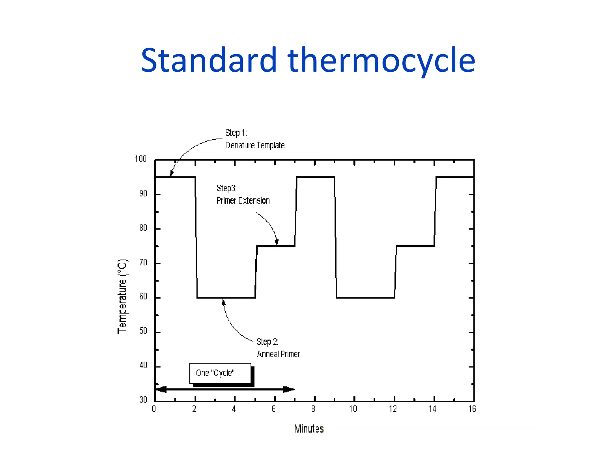 Standard thermocycle
 