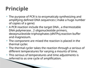 Polymerase Chain Reaction a technique used in Molecular Biology | PPTX