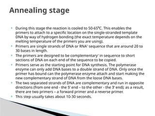 Polymerase Chain Reaction a technique used in Molecular Biology | PPTX