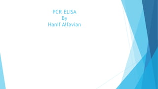 PCR–ELISA
By
Hanif Alfavian
 