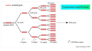 Pcr polymerase chain reaction | PPTX