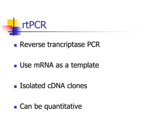 PCR PPT