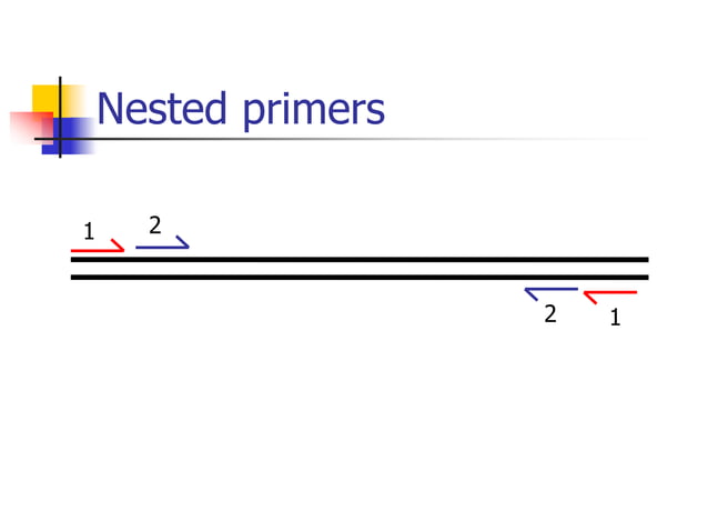 PCR PPT