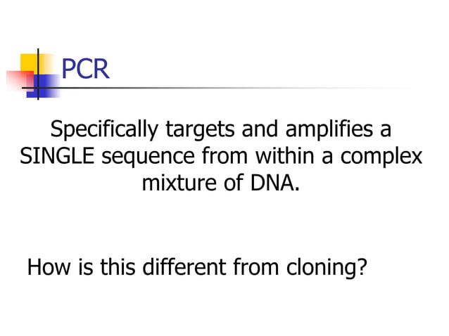 PCR PPT