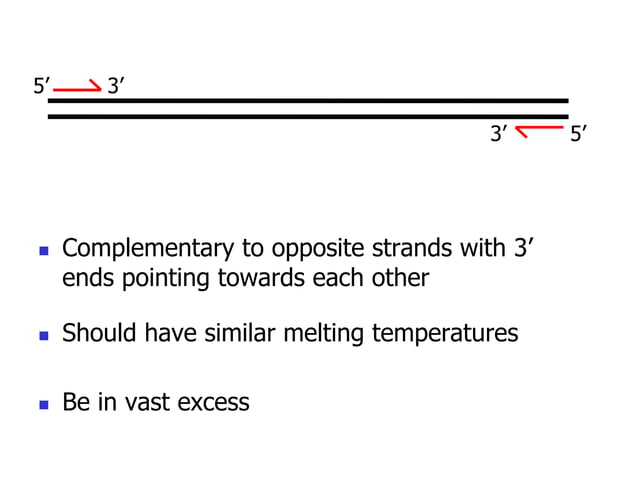 PCR PPT