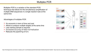 PCR and qPCR principles, applications, and trouble shootings. | PPTX