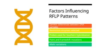 PCR RFLP for the genotype mapping and used in DNA fingerprinting | PPTX