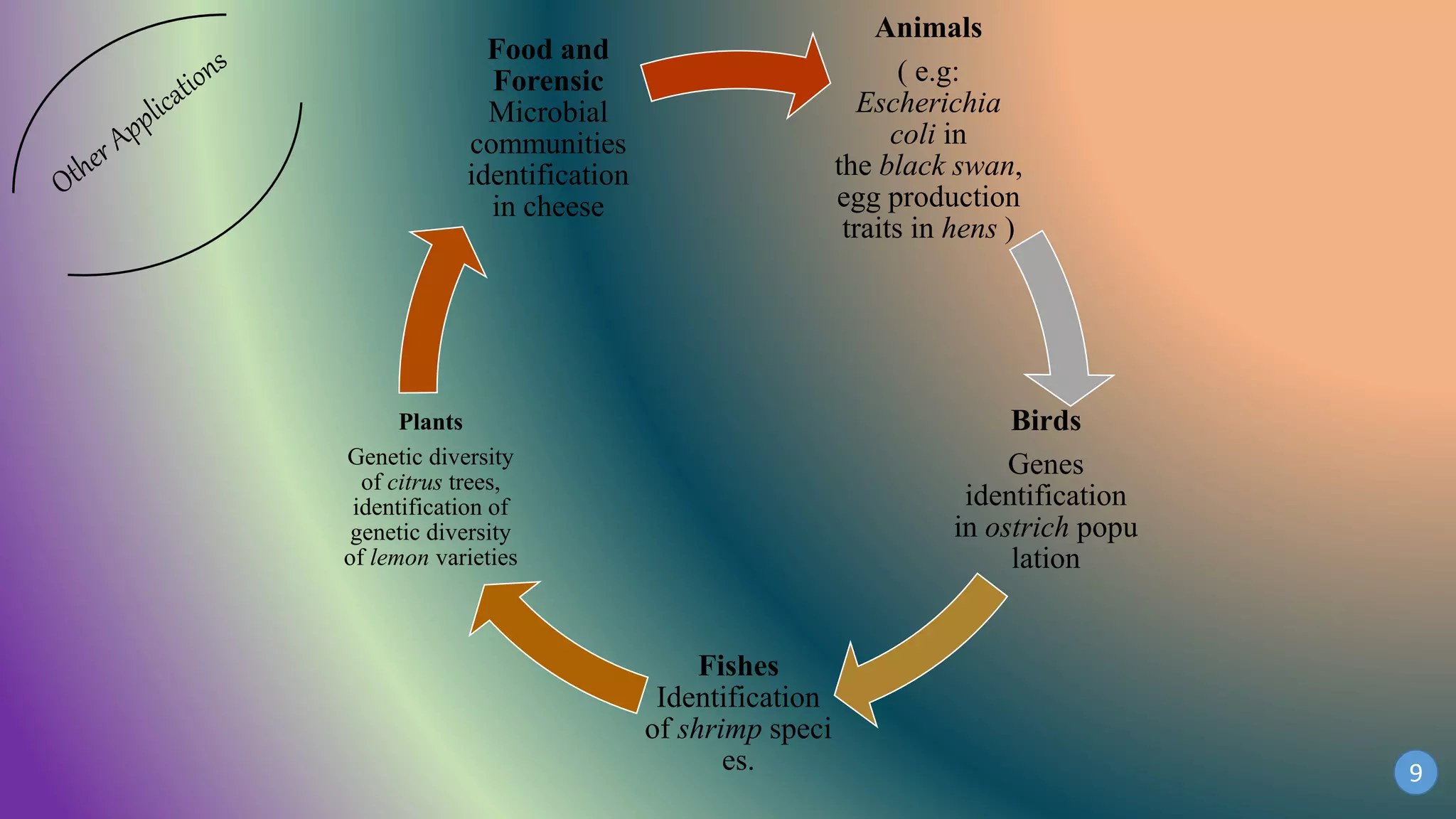 Animals
( e.g:
Escherichia
coli in
the black swan,
egg production
traits in hens )
Birds
Genes
identification
in ostrich popu
lation
Fishes
Identification
of shrimp speci
es.
Plants
Genetic diversity
of citrus trees,
identification of
genetic diversity
of lemon varieties
Food and
Forensic
Microbial
communities
identification
in cheese
9
 