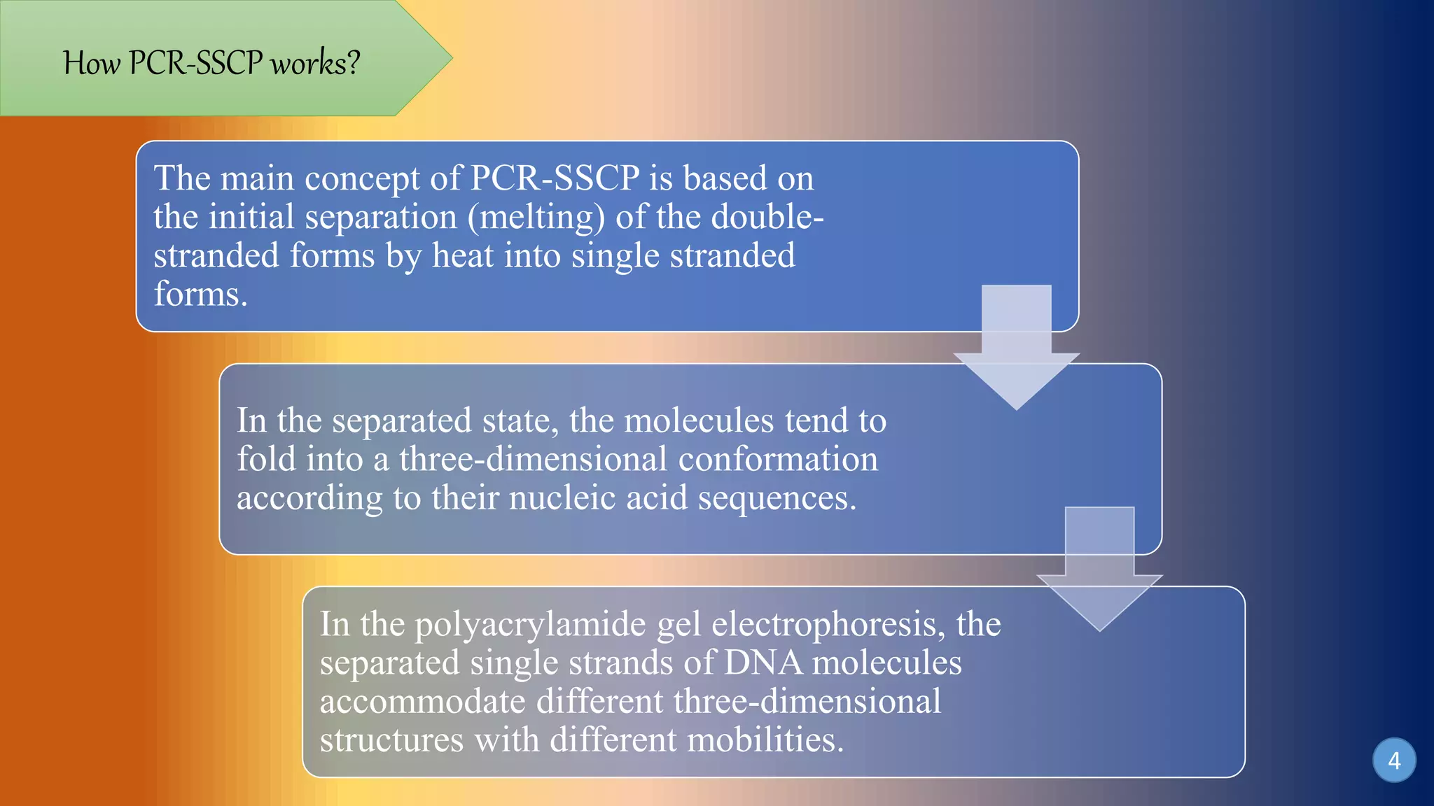 How PCR-SSCP works?
The main concept of PCR-SSCP is based on
the initial separation (melting) of the double-
stranded forms by heat into single stranded
forms.
In the separated state, the molecules tend to
fold into a three-dimensional conformation
according to their nucleic acid sequences.
In the polyacrylamide gel electrophoresis, the
separated single strands of DNA molecules
accommodate different three-dimensional
structures with different mobilities. 4
 