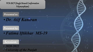 PCR-SSCP(Single Strand Conformation
Polymorphism)
Presented to:
•Dr. Atif Kamran
Presented by:
• Fatima Iftikhar MS-19
Session:
• 2020-2022
• University of the Punjab
 