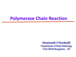 Polymerase Chain Reaction
Manjunath S Hurakadli
Department of Plant Pathology
UAS GKVK Bengaluru - 65
 