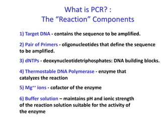 What is PCR? :
The “Reaction” Components
1) Target DNA - contains the sequence to be amplified.
2) Pair of Primers - oligonucleotides that define the sequence
to be amplified.
3) dNTPs - deoxynucleotidetriphosphates: DNA building blocks.
4) Thermostable DNA Polymerase - enzyme that
catalyzes the reaction
5) Mg++ ions - cofactor of the enzyme
6) Buffer solution – maintains pH and ionic strength
of the reaction solution suitable for the activity of
the enzyme
 