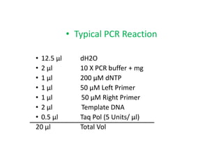• Typical PCR Reaction
• 12.5 μl dH2O
• 2 μl 10 X PCR buffer + mg
• 1 μl 200 μM dNTP
• 1 μl 50 μM Left Primer
• 1 μl 50 μM Right Primer
• 2 μl Template DNA
• 0.5 μl Taq Pol (5 Units/ μl)
20 μl Total Vol
 