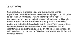 Resultados 
• Como resultado, el proceso sigue una curva de crecimiento 
exponencial. Todos los reactivos necesarios se agregan a un tubo, que 
se coloca en un termociclador. Este aparato permite fijar las 
temperaturas, los tiempos y el número de ciclos deseados. El empleo 
de un termociclador automático es posible gracias al uso de DNA 
polimerasa obtenida de baterías termófilas como Thermus aquaticus; 
la enzima de estos microorganismos puede soportar la fase de 
calentamiento sin destruirse. Luego de treinta ciclos, completados en 
sólo unas horas, la cantidad de DNA diana aumentara más de diez mil 
millones de veces. 
 