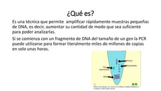 ¿Qué es? 
Es una técnica que permite amplificar rápidamente muestras pequeñas 
de DNA, es decir, aumentar su cantidad de modo que sea suficiente 
para poder analizarlas. 
Si se comienza con un fragmento de DNA del tamaño de un gen la PCR 
puede utilizarse para formar literalmente miles de millones de copias 
en solo unas horas. 
https://www.google.com.co/search?q=PCR&biw=1440&bih=805&source= 
lnms&tbm=isch&sa=X&ei=y55rVM 
 