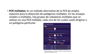 • PCR múltiplex: Es un método alternativo de la PCR de amplio 
espectro para la detección de patógenos múltiples. En los ensayos 
simples o múltiples, hay grupos de cebadores múltiples que se 
utilizan en una PCR múltiple, cada uno de los cuales suele dirigirse a 
un patógeno particular. 
https://www.google.com.co/search?q=PCR&biw=1440&bih=805&source= 
lnms&tbm=isch&sa=X&ei=y55rVM 
 