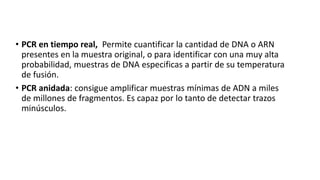 • PCR en tiempo real, Permite cuantificar la cantidad de DNA o ARN 
presentes en la muestra original, o para identificar con una muy alta 
probabilidad, muestras de DNA especificas a partir de su temperatura 
de fusión. 
• PCR anidada: consigue amplificar muestras mínimas de ADN a miles 
de millones de fragmentos. Es capaz por lo tanto de detectar trazos 
minúsculos. 
 